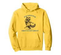 Funny Sassy Raccon It Is What It Is And It Is Not That Great Pullover Hoodie