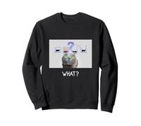 Funny Schrödinger's Cat Experiment Quantum Superposition Sweatshirt