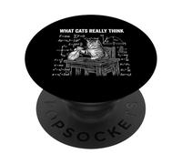 Funny Science Physics Cat Meme What Cats Really Think PopSockets Adhesive PopGrip