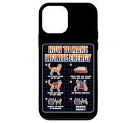 Funny Science Sarcasm Hypothesis Infinite Energy Loop Cat Case for iPhone 12 mini