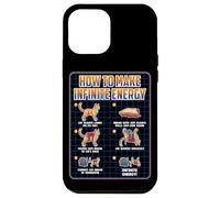 Funny Science Sarcasm Hypothesis Infinite Energy Loop Cat Case for iPhone 12 Pro Max