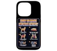 Funny Science Sarcasm Hypothesis Infinite Energy Loop Cat Case for iPhone 14 Pro