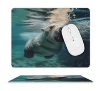 Funny Sea Lion Leather Mouse Pad Mouse Mat