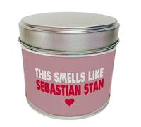 Funny Sebastian Stan Candle Vanilla Soy Wax Tin