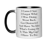 Funny Senior Citizens Coffee Mug,I Came I Saw I Forgot What I was Doing,Funny Sarcastic Gifts for Old People Elderly Mom Dad Grandma Grandpa Husband Wife Coworker Birthday Whitefunny Coffee Mug 11Oz
