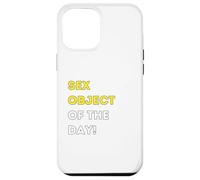 Funny Sex Object of the Day! - unique humorous gifts Case for iPhone 12 Pro Max