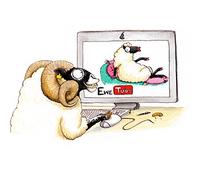 Funny Sheep Greeting Card. Ewe Tube by Alex Underdown. A great gift idea for farmers, smallholders and shepherds