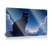 Funny Signs For Home Decor A Black Cat Sits On A Hill Under A Starry Sky. Tin Sign Funny Signs For Home Bar Funny Room Signs(30X40CM)