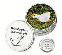 Funny Silly Goose Gift in a Tin | Aluminum Box Keepsake with Inspirational Message “This Silly Goose Believes in You” | Cute Desk Decor, Pocket Hug, Encouragement Gift for Friends, Coworkers, Bestie |