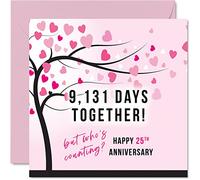 Funny Silver Anniversary Card for Wife or Husband - 9131 Days Together - I Love You Gifts, Happy 25th Wedding Anniversary Cards for Partner, 145mm Greeting Cards Anniversaries