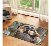 Funny Sloth Dog Food Mats for Floors, 16x24 Inch Non-Slip Super Absorbent Pet Food Mat, Dishwasher Dog Mat for Food and Water, Cute Rubber Quick Dry Pet Feeding Mat for Dogs Puppy Cats