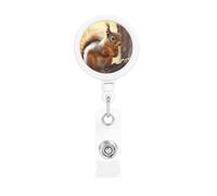 Funny Squirrel Badge Reel Retractable Badge Holder with Keychain Funny ID Clips for Badges Lightweight Plastic Name Card Holders for Nurses Office Teacher