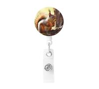 Funny Squirrel Badge Reel Retractable Badge Holder with Keychain Id Clips for Badges Lightweight Plastic Name Card Holders for Nurses Office Teacher