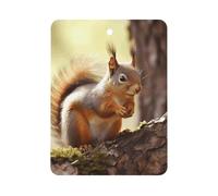 Funny Squirrel Car Air Freshener Hanging, Long Lasting Scented Car Aromatherapy Tablets, Square Fragrance Scented Cards for Vehicles, Bedroom, Wardrobe Black-style