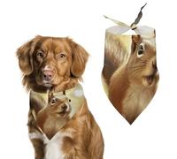 Funny Squirrel Dog Bandanas Adjustable Bib Handkerchief Party Pet Decorations Cute Dog Triangle Scarfs for Small Medium Puppy Cat Costume Accessory