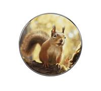 Funny Squirrel Fridge Magnets for Home, Magnetic Refrigerator Sticker for Whiteboard, Circle Waterproof Fridge Magnet for Refrigerator, Locker, Car Garage, Office Decor