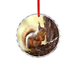 Funny Squirrel Glass Circular Pendant Personalization Christmas Tree Hanging Ornaments Funny Round Glass Hanging Pendants Holiday Decor for Party Xmas Wedding