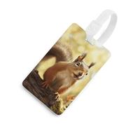 Funny Squirrel Luggage Tag Cute Unique Travel Bag Tag Personalized Luggage Tag ID Label Address Card and Durable Round Ring Travels Gift Airport Essentials, White-style, One Size, Luggage Tag