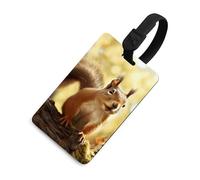 Funny Squirrel Luggage Tag Cute Unique Travel Bag Tag Personalized Luggage Tag ID Label Address Card and Durable Round Ring Travels Gift Airport Essentials Black-Style