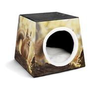 Funny Squirrel Pet Tent for Small Cats and Dogs,Cat House - Soft Comfort Washable,Dog Bed Open Design Pet Tents Indoor Outdoor Travel