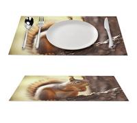 Funny Squirrel Placemat, 6 PCS PVC Placemats Washable Non-Slip Place Mats for Dining Table, Wipeable Table Mat for Party Kitchen Dining Decor