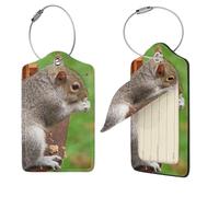Funny Squirrel Print Luggage Tag Leather with Stainless Steel Loop Privacy Cover Name ID Labels for Women Men