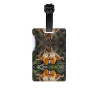 Funny Squirrel Print Luggage Tags with Full Back Privacy Cover - Bright Suitcase Identifier for Travel, Cruise & More