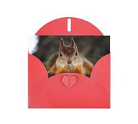 Funny Squirrel Red prints Greeting Cards 6x4-inch with Envelope | Perfect for writing greetings and thank-you notes