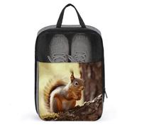 Funny Squirrel Shoe Bag Travel Shoe Organizer Water-Resistant Shoe Pouch with Zipper Sneaker Dust Bag, gray, One Size, Modern