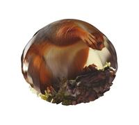 Funny Squirrel Shower Cap for Women Men Large Waterproof Shower Bonnet Elastic Band Bathing Hair Hat Spa Salon Caps Double Layered Reusable Bath Caps for Long Hair, Braids