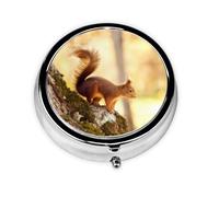 Funny Squirrel This Small, Round Pill Box is a Portable Travel Medicine Organizer with Three compartments for Storing Daily medications.