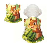 Funny Squirrel XL Pet Apparel for Small Dogs-Cute Summer Outfit for Puppy, Soft Breathable Pet Clothes for Cat