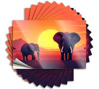 Funny Sticker Elephants At Sunset in The Wild Stickers 10Pcs Funny Bumper Sticker Funny Bumper Sticker(6X9CM)