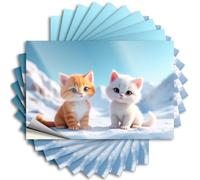 Funny Sticker Two Cute Kittens Sitting On Snowy Mountains. Stickers 10Pcs Garage Signs for Men Funny Adult Humor Stickers(6X9CM)