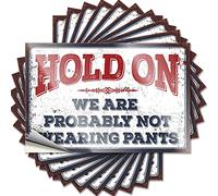Funny Stickers for Cars Hold On We're Probably Not Wearing Pants Funny Sticker 10 Pcs Decals for Cars Funny Alcohol Signs(6X9CM)