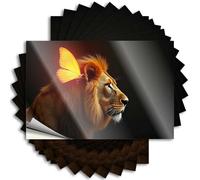 Funny Stickers for Cars Nature's Majesty: Lion and Butterfly Stickers 10Pcs Car Decals Car Stickers(6X9CM)