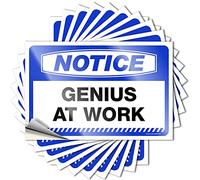 Funny Stickers for Cars Notice Genius At Work Stickers 10 Pcs Stickers for Your Car Funny Sticker(12X18CM)