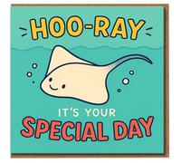 Funny Stingray Pun Birthday Card - Hoo-Ray It's Your Special Day - Cute Ocean Animal Design - Blank Inside - For Him Her Kids Friends