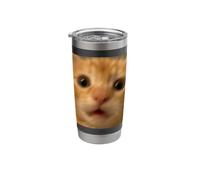 Funny Surprised Orange Kitten Cat Blurry Photo Meme Stainless Steel Insulated Tumbler