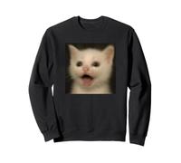 Funny Surprised White Kitten Cat Blurry Photo Meme Sweatshirt