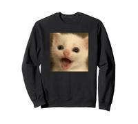 Funny Surprised White Kitten Cat Blurry Photo Meme Sweatshirt