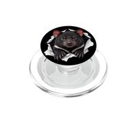 Funny Tasmanian Devil Peeking Cute Zoo Animal Lover PopSockets PopGrip for MagSafe