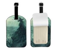 Funny The sea Witch Inspired Print Luggage Tags Travel Bag Label Tag Suitcase Label Baggage Tag for Travel