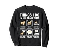 Funny Things I do in my Spare Time Labrador Dog Owner Sweatshirt