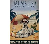 Funny Tin Metal Signs Dalmatian beach club Vintage Sign Retro Tin Signs Vintage Metal Tin Sign For Bar Home Wall Metal Decoration 8×12Inch