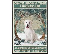 Funny Tin Metal Signs I picked up a labrador retriever puppy Vintage Sign Retro Tin Signs Vintage Metal Tin Sign For Bar Home Wall Metal Decoration 8×12Inches