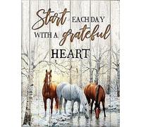 Funny Tin Metal Signs Stunning Horse Start Each Day with A Grateful Heart Vintage Sign Retro Tin Signs Vintage Metal Tin Sign For Bar Home Wall Metal Decoration 8×12Inch