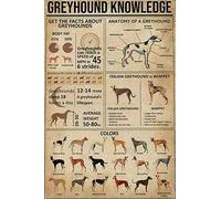 Funny Tin Sign Greyhound Poster Knowledge Vintage Metal Bedroom Retro Novelty Cafe Store Signs 8x6 inch
