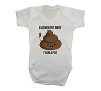 Funny Toilet Humour ~ One Fart Away from a Poo ~ Funny Gift ~ Funny Baby Vest ~ Fart Present ~ Poo Onesie ~ Gift for him ~ Humorous Gift (0-3)
