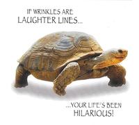 Funny Tortoise Wrinkles Laughter Lines Birthday Greeting Card